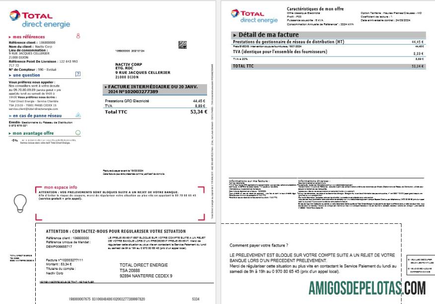 Para baixar modelo de conta de serviços públicos da Total Direct Energie da França em formatos Word e PDF1